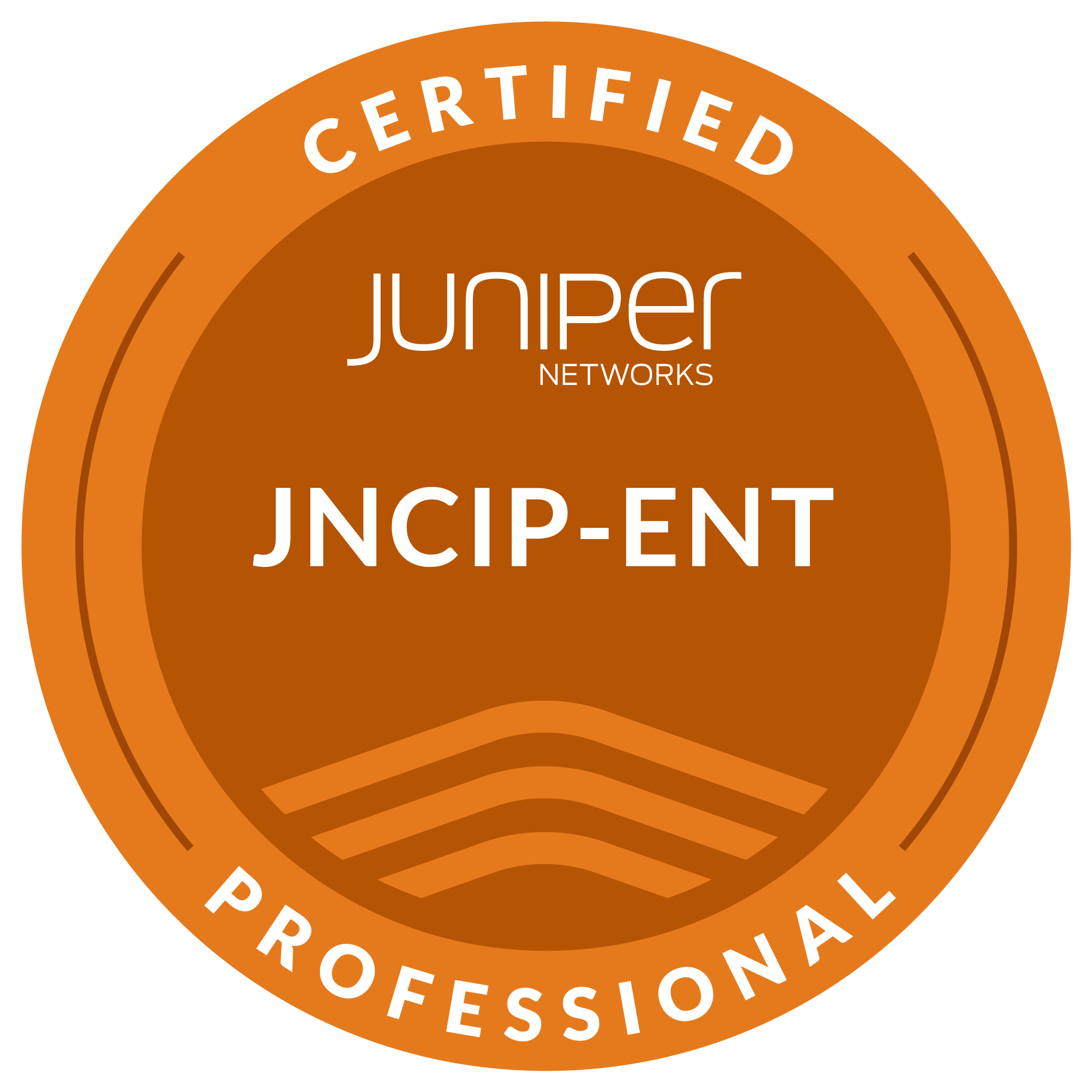 Juniper Networks Certified Professional, Enterprise Routing and Switching (JNCIP-ENT) badge